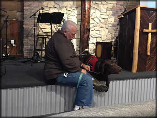 Service Dog